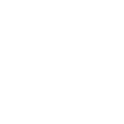 Sundance Spas